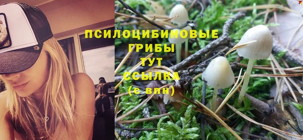 герыч Горнозаводск
