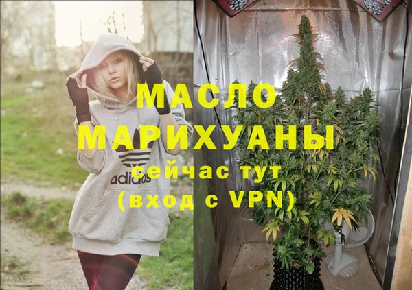 индика Тавда